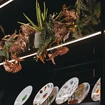 卓英酒店 4* 巴黎