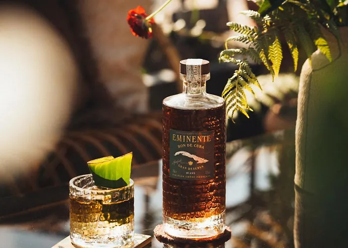 Drawing Hotel Parijs