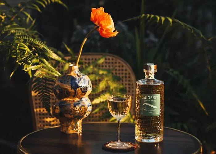 Drawing מלון פריז