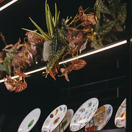 ドローイング 4* パリ